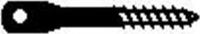 1/4X3 ACOUSTICAL LAG SCREW S/S